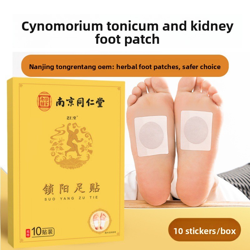 Herbal Wellness Healthcare - Nanjing Tongrentang Nierverzorgingspatch - Kruidenformule voor